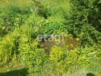 Лот: 25290036. Фото: 11. 1-комн. дача , СНТ Вишенка СНТ...