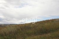 Лот: 25297709. Фото: 5. участок , ТСН Березняки ТСН Березняки...