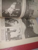 Лот: 25896574. Фото: 6. озю..вбр..(5092303) Туринова София...