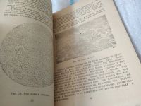 Лот: 17449234. Фото: 6. Келлер Б.А. Происхождение и развитие...
