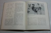 Лот: 14958283. Фото: 3. Щипанов А. Художнику-любителю. Литература, книги