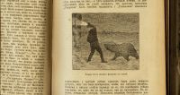 Лот: 16914279. Фото: 17. Фритьоф Нансен. В стране льда...