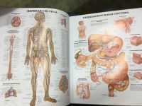 Лот: 12542733. Фото: 3. Большой атлас анатомии человека... Литература, книги