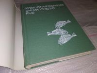 Лот: 14342125. Фото: 3. Иллюстрированная энциклопедия... Литература, книги