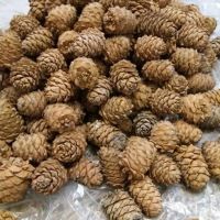 Лот: 16930514. Фото: 2. Куплю орех кедровый. Продукты