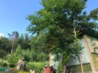 Лот: 14064823. Фото: 3. Дача. Недвижимость