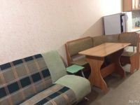 Лот: 13409989. Фото: 2. Сдам 1-комн в Солнечном. Аренда