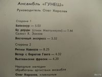 Лот: 6989229. Фото: 3. Гунеш "Вижу землю". Красноярск