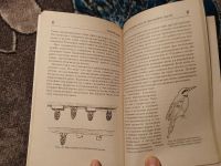 Лот: 24429649. Фото: 3. Мыльников Содержание и разведение... Литература, книги
