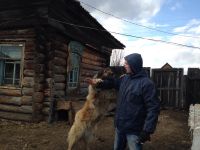 Лот: 5336952. Фото: 5. кавказцы