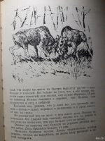 Лот: 13983223. Фото: 3. Бианки "повести и рассказы" 1977. Литература, книги