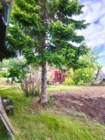 Лот: 25288973. Фото: 14. 2-комн. дача , деревня Красная...
