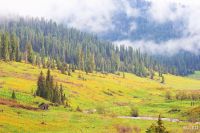 Лот: 8573684. Фото: 6. Юпитер 37a. Дешего.