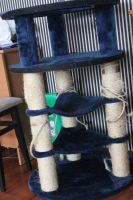 Лот: 6058933. Фото: 2. Когтедерка-домик большая б/у. Животные и уход