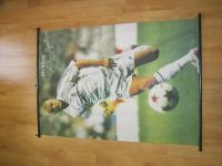 Лот: 25728269. Фото: 2. Плакаты на текстильной основе... Олимпиада, Универсиада, Чемпионаты