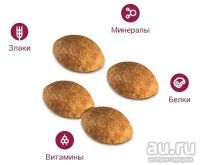 Лот: 13296233. Фото: 2. Корм Royal Canin для кошек персов... Животные и уход