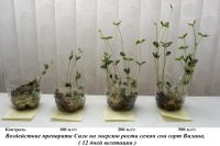 Лот: 3672089. Фото: 2. Препарат СИЛК - канистры по 5... Комнатные растения и уход
