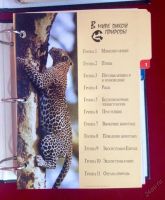 Лот: 5961298. Фото: 7. книга животные