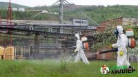 Лот: 5402680. Фото: 4. Обработка от клещей! Безупречная...