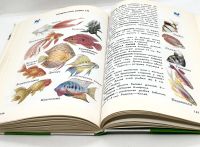 Лот: 25412283. Фото: 13. 📗 А. Плешаков. От земли до неба...
