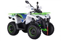 Лот: 25659383. Фото: 3. Квадроцикл ROCKOT Hammer 200 Premium. Авто, мото, водный транспорт