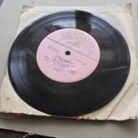 Лот: 22609365. Фото: 6. Пластинка Бродская/Разноцветные...