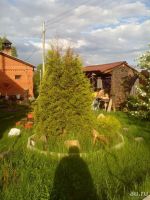 Лот: 9422827. Фото: 12. Продам дом Тартат 6900 т.р.. 215кв...