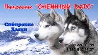 Лот: 4287207. Фото: 10. Визитки-450руб., Листовки А6-1200руб...