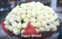 Лот: 6418729. Фото: 2. 55 роз из Голландии - 3575 рублей... Цветы, букеты