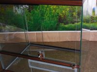 Лот: 5330191. Фото: 3. Террариум 50л со светом. Растения и животные