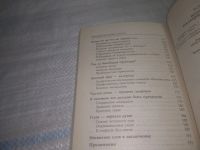 Лот: 25578298. Фото: 3. вбР(3092358)Тэ Санри. Японский... Литература, книги