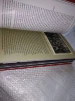 Лот: 19308771. Фото: 12. оз...(29..013) Комарова Тамара...