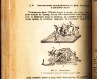 Лот: 19411428. Фото: 17. В.М. Ануфриев, Ф.П. Никашин, Г...