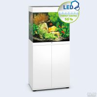 Лот: 10028570. Фото: 2. Аквариум Juwel Lido 120 LED (JUW-11350... Аквариумистика