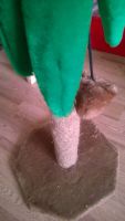 Лот: 7763993. Фото: 2. Когтеточка для кота/кошечки. Животные и уход