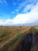 Лот: 25797955. Фото: 7. Земельный участок