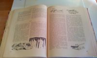 Лот: 18555073. Фото: 8. Книга"Беседы о домашнем хозяйстве...