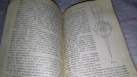 Лот: 9150793. Фото: 3. (3092306)Иоганн Кеплер, О шестиугольных... Литература, книги