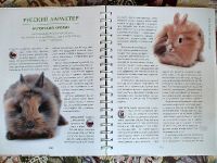 Лот: 17534401. Фото: 5. "От мышки до кошки" Волкова Ольга...