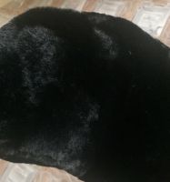 Лот: 8711746. Фото: 2. Шуба цигейковая(мутон). Женская одежда