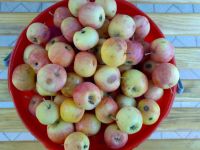 Лот: 2012433. Фото: 2. 10 литровое ведро вкусных ранеток... Продукты