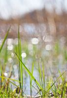 Лот: 4075247. Фото: 3. Индустар-50-2 50мм (СССР). Красноярск