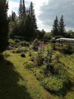 Лот: 25744079. Фото: 17. 1-комн. дача , садоводческое некоммерческое...