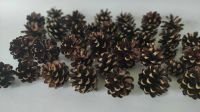 Лот: 25899934. Фото: 2. Шишки сосновые отборные. Ручная работа