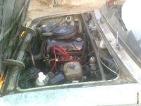 Лот: 3288539. Фото: 3. щерсть,обмен. Красноярск