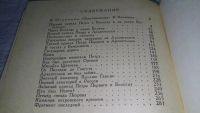 Лот: 11461632. Фото: 2. Петр Первый на Севере, Константин... Литература, книги