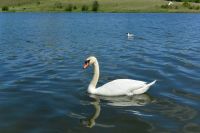 Лот: 15174392. Фото: 4. Nikon 1 Nikkor 10–30mm 3.5–5.6...