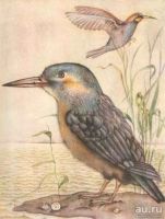 Лот: 15418513. Фото: 7. Константиновский Майлен - КОАПП...