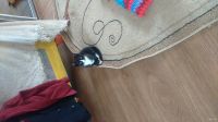 Лот: 13802564. Фото: 2. Котенок. Черно-белая прелесть. Животные и уход