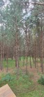 Лот: 25600816. Фото: 18. 3-комн. дом , СНТ Рось СНТ Рось...